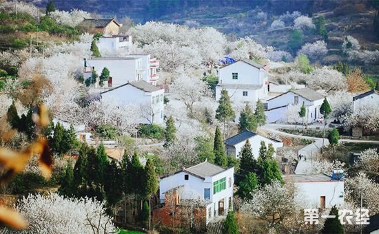 农业部部署在全国开展百万人才培训行动