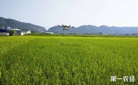 土地流转、土地托管、土地入股这三种形式的区别在哪?