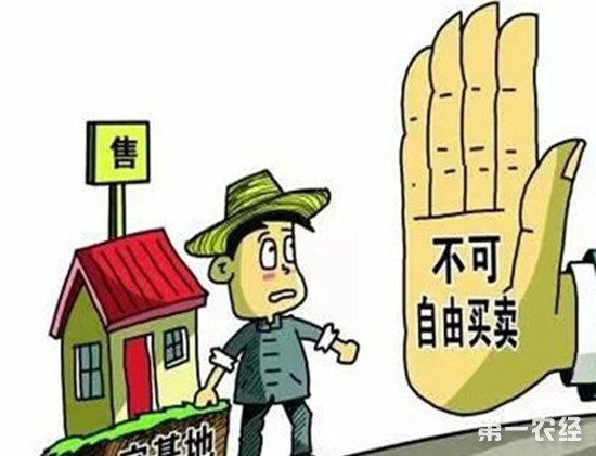 解读:国土部部长姜大明提出宅基地将“三权分置”,这到底意味着什么?