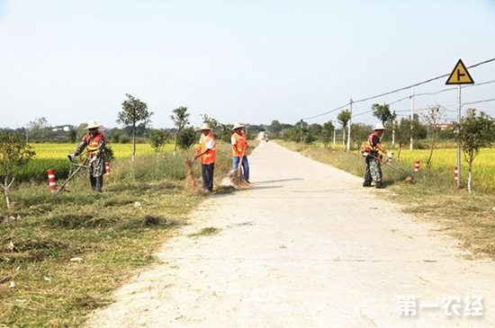 交通部修订《农村公路建设管理办法》 推进“四好农村路”