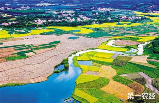 农业部:积极支持各地发展优势特色农业产业