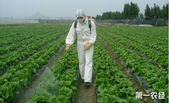 我国禁止和限制使用的农药有哪些