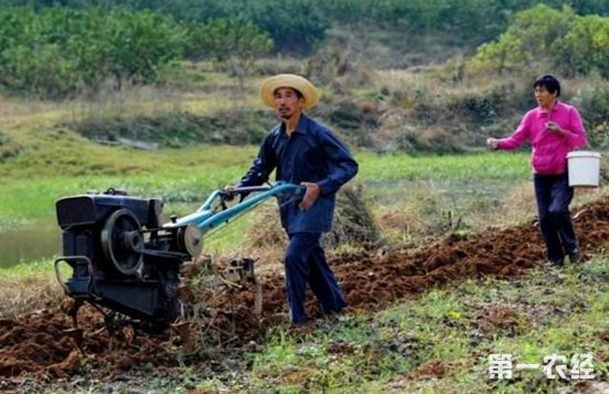 种地的农民越来越少,以后农业该如何发展呢?