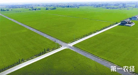 农业农村部印发通知 部署高标准农田规划建设