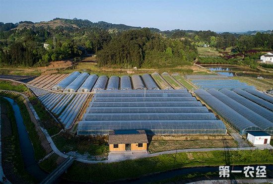资本下乡应惠及农民 加强监管谨防偏离正轨