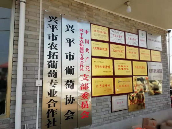 图片4
