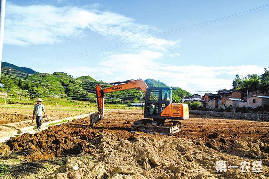 全国土地流转趋势向好 但需警惕流转土地的“非粮化”