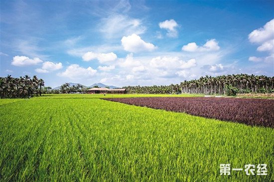 农业农村部分析今年春季病虫害趋势