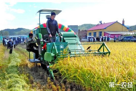 以组织带动农民致富 全国农业组织辐射1.27亿农户