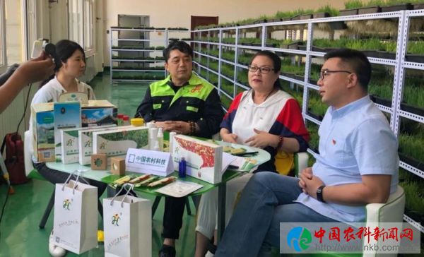 微信图片_20190531094733