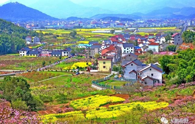 乡村振兴隐约可见的躁动与不安