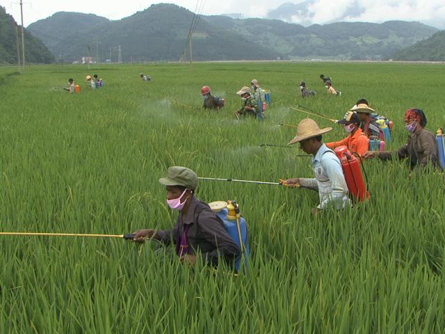 袁隆平:未来的农业是互联网大数据时代,机遇你看到了吗?