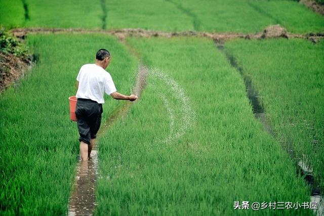 农村改革的体制结果:“分”被加强、“统”未建立