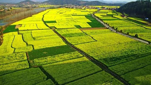 “平地建厂,荒山造田”:占补平衡下的耕地危机