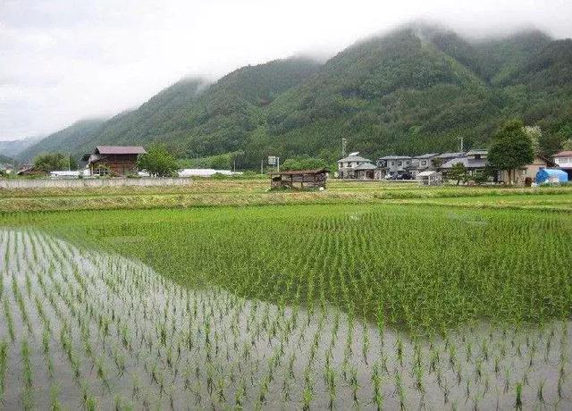 关于“农村集体建设用地”,你懂的还不够