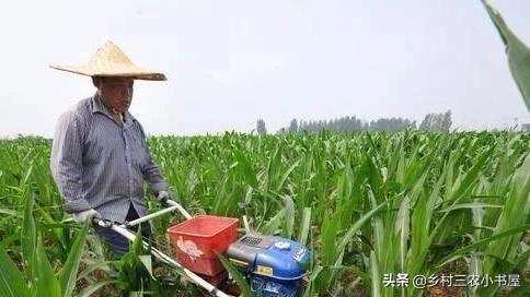 农村剩余劳动力就业与农业“准纵向一体化”