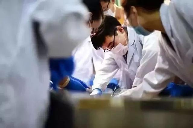 乡村医生队伍有望壮大!7部门发文,加强农村定向培养医学生就业安置、履约管理