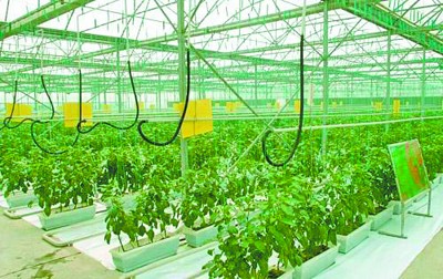 3s技术 精细农业_3s技术 农业_3s技术 精细农业